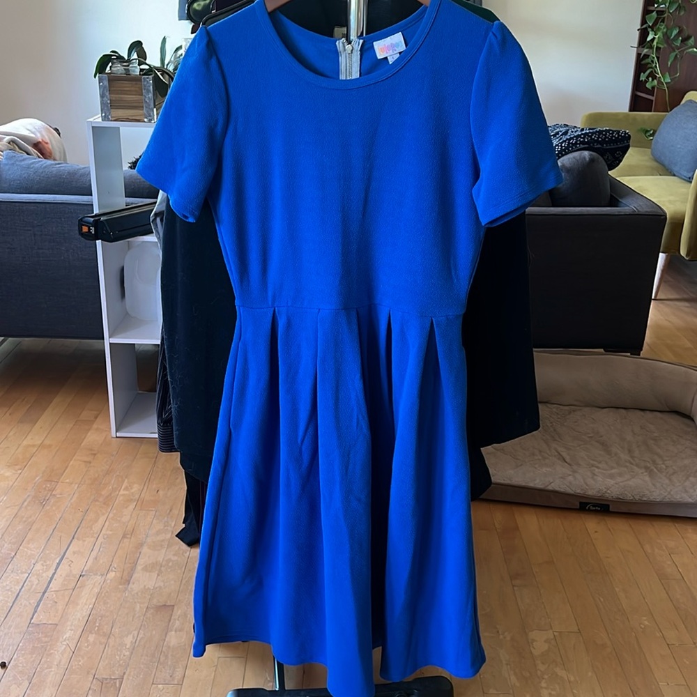 Lularoe Monica Princess Seam Dress